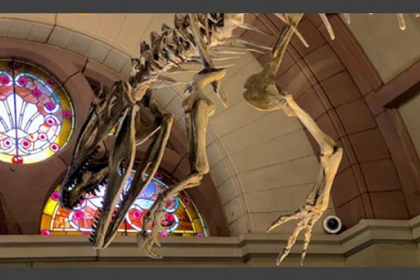 Cryolophosaurus anterior