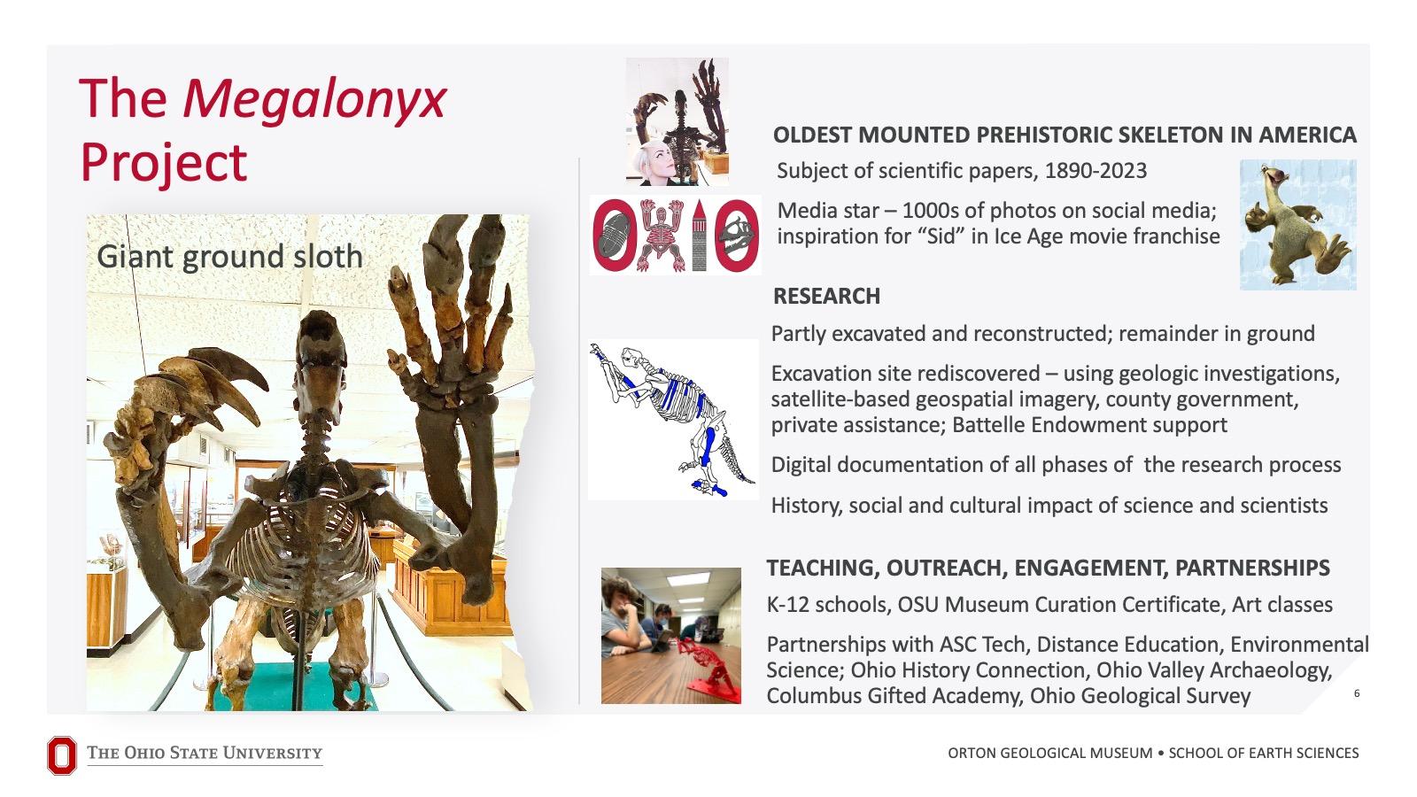 Orton Museum Projects - The Megalonyx Project