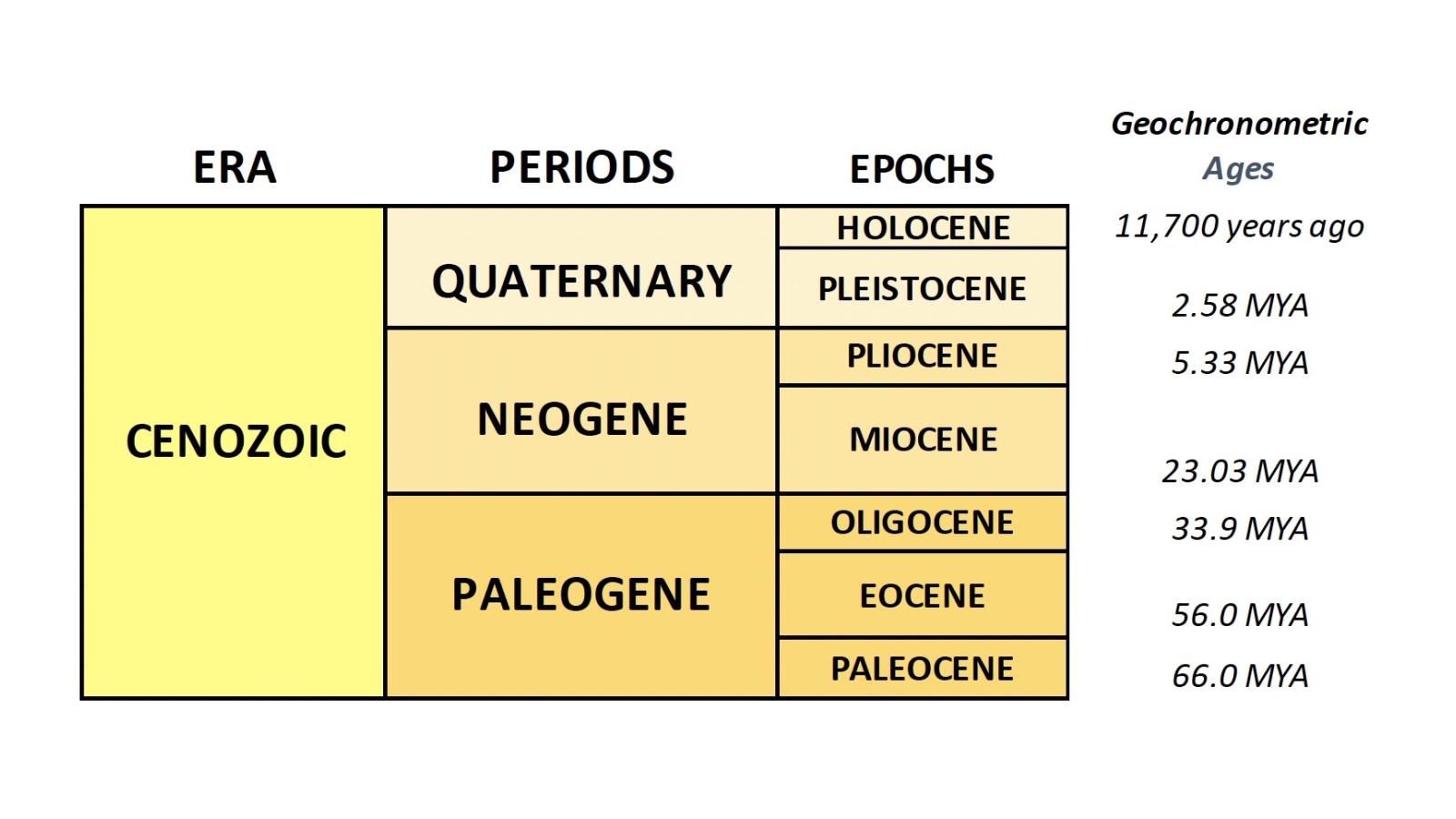 Cenozoic