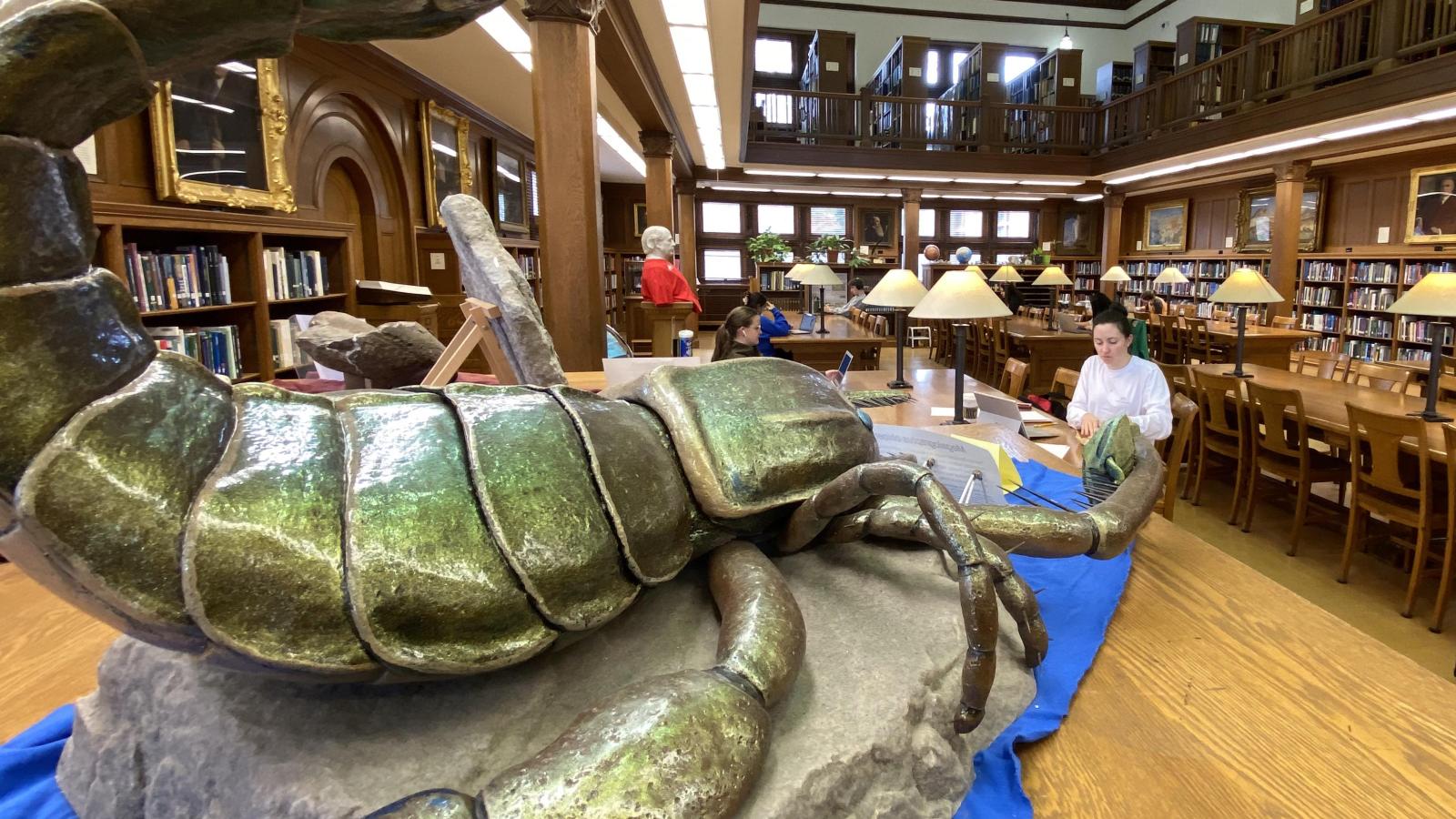 Orton Library display