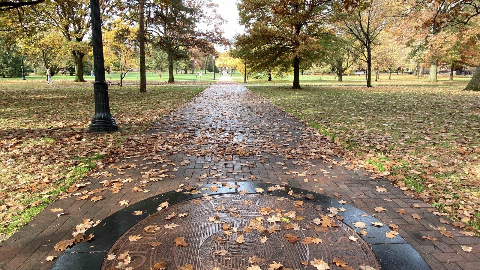 University Seal in autumn