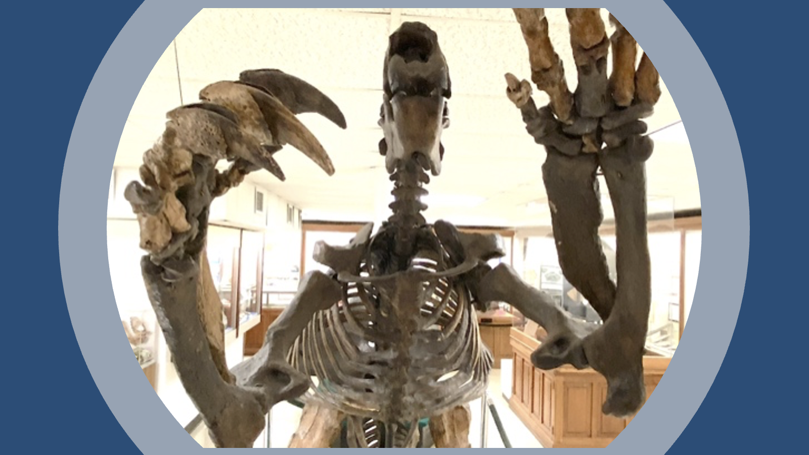 Jeff the Ground Sloth, frontal view