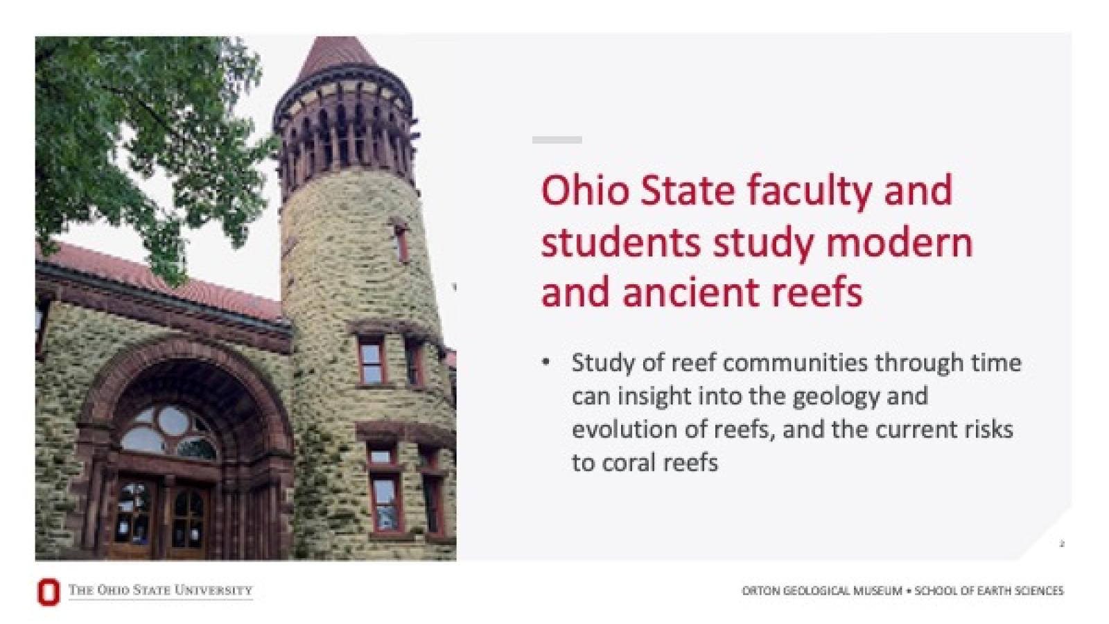 Ohio State faculty and students study reefs