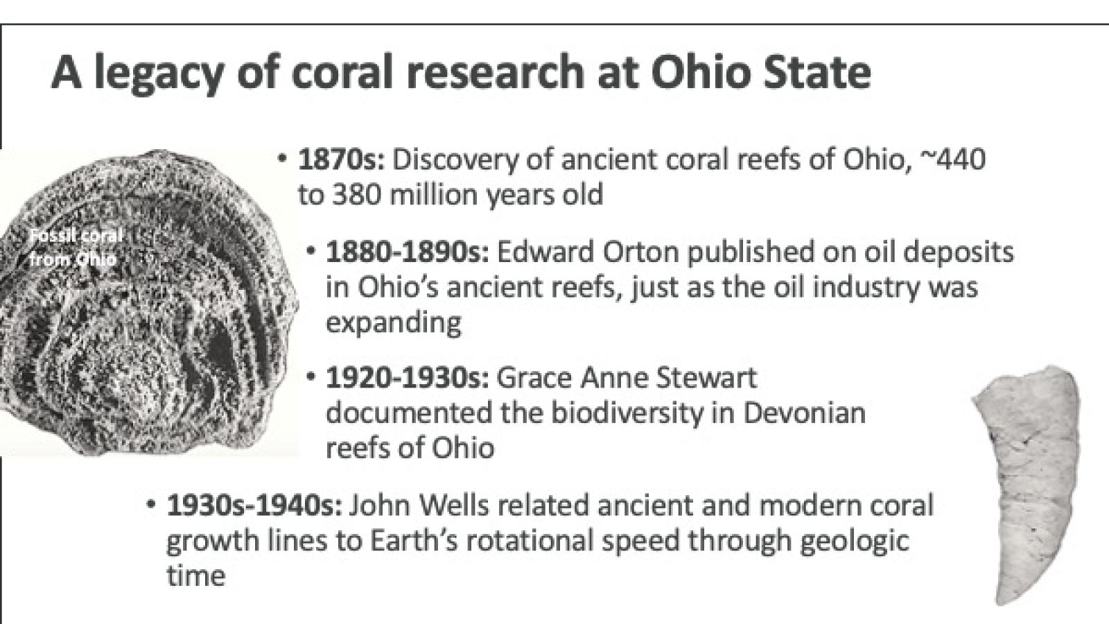 A legacy of reef reef coral study