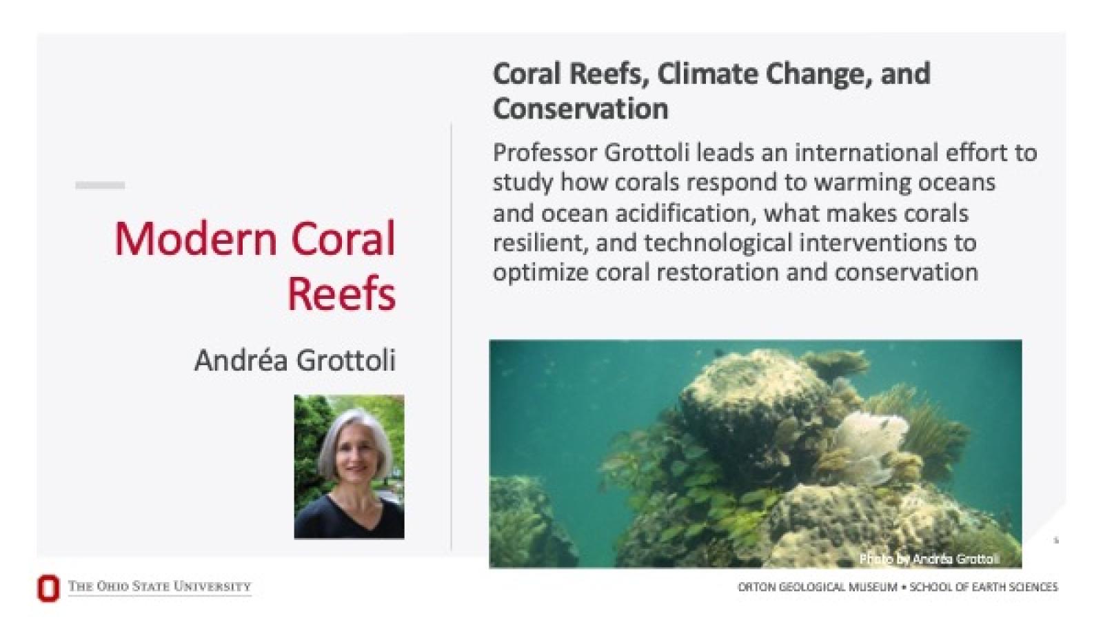 Modern coral reefs