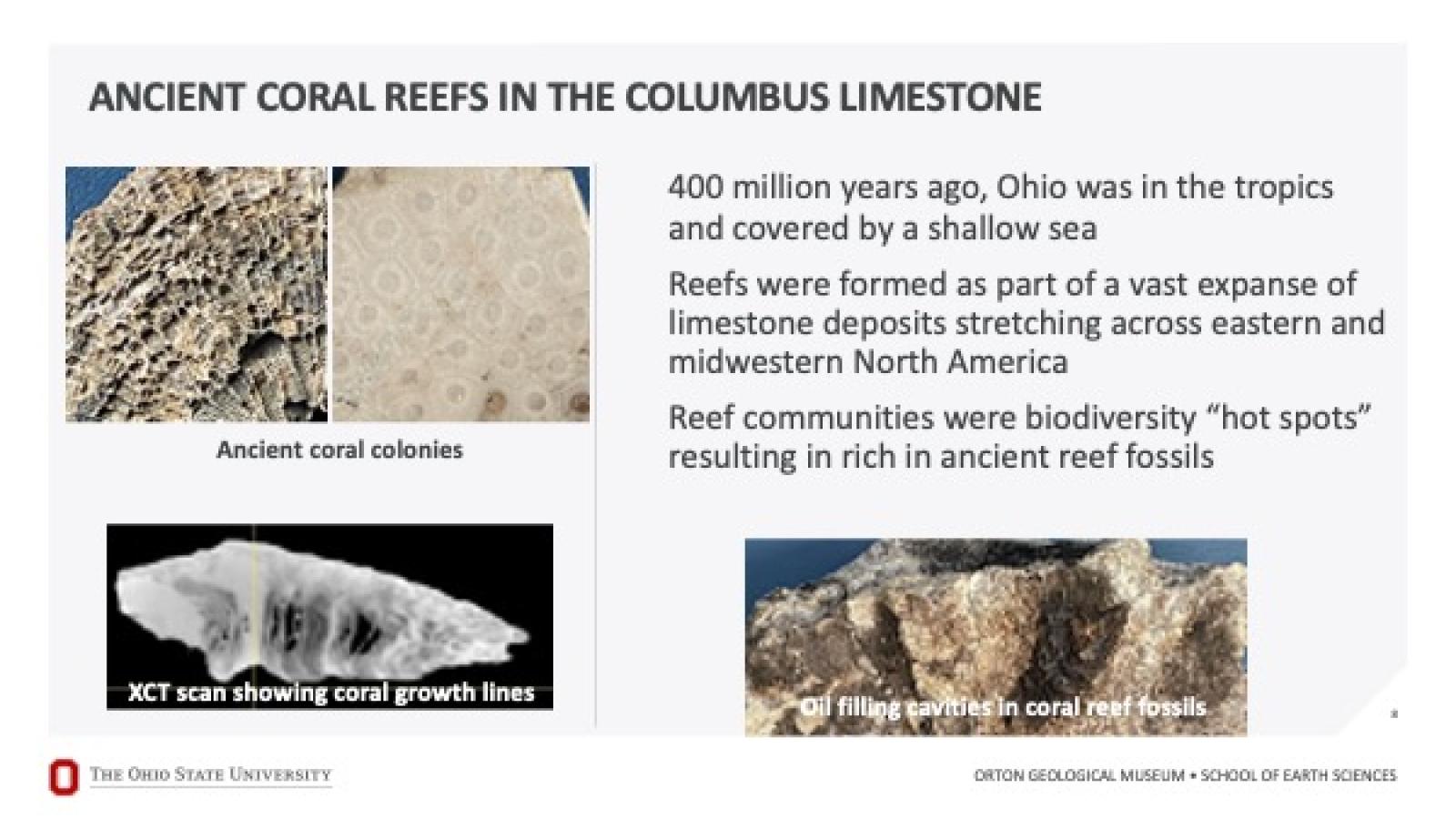 Ancient coral reefs in the Columbus Limestone