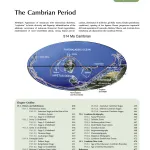 The Cambrian Period 2012