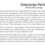 Ohio's Fossil Record - Ordovician text
