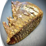 Mammoth tooth 1600x900