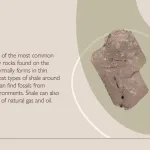 Shale