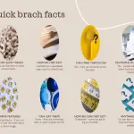 Quick brach facts2
