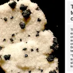 Tennantite-tetrahedrite on quartz