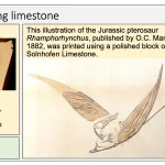 Lithography using limestone