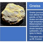 Gneiss