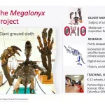 Orton Museum Projects - The Megalonyx Project