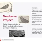 Orton Museum projects - Newberry Project