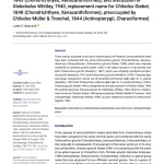Babcock 2024 Replacement names for Orthacanthus species - ZooKeys