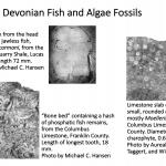 Ohio's Fossil Record - Devonian fossils